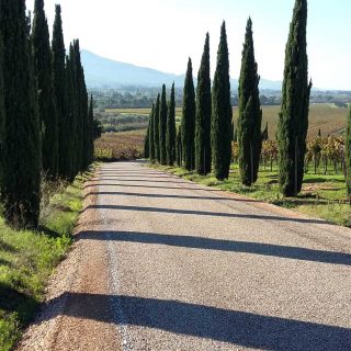 Gavorrano - cantina depolverizzazione triplo strato basso impatto ambientale - Slurry Srl