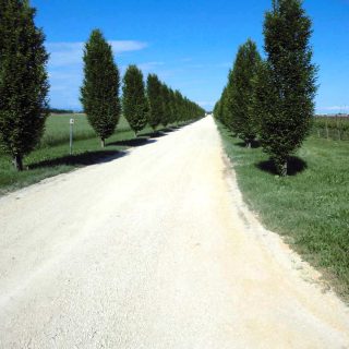 Strade bianche fresatura stabilizzazione - Slurry Srl